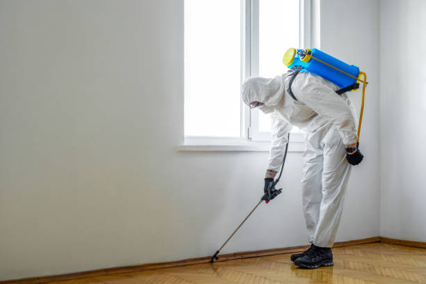 Emergency Pest Control in Springdale, NJ